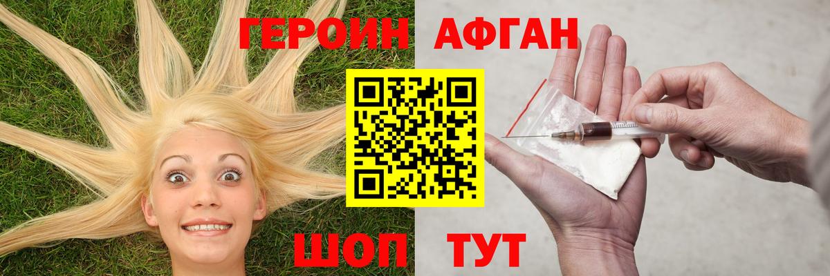 ГЕРОИН хмурый Бердск