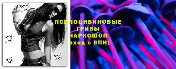 spice Алексин