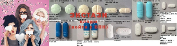 прущие грибы Алзамай