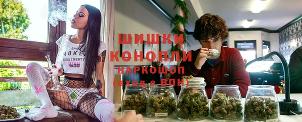 прущие грибы Алзамай