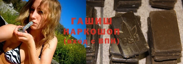 прущие грибы Алзамай