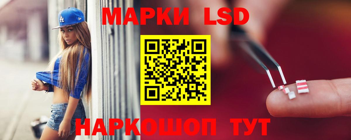 Бердск  LSD-25 экстази  ссылка на мегу ONION  LSD-25 экстази кислота  Вход с VPN 