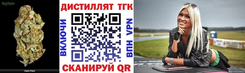 ТГК Wax Бердск
