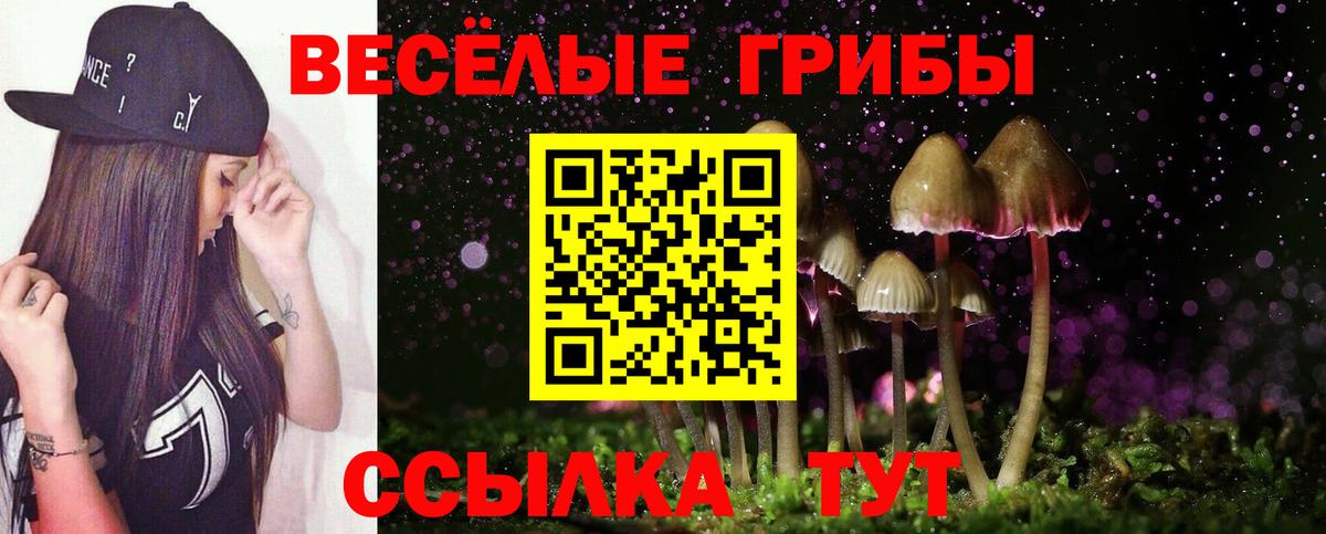 Галлюциногенные грибы мицелий  Вход с VPN  Бердск 