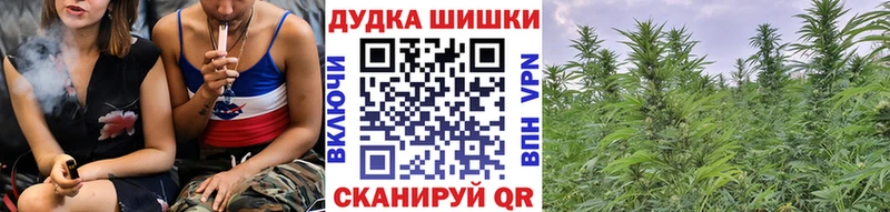 что такое наркотик  это наркотические препараты  Канабис тримм  Бердск 